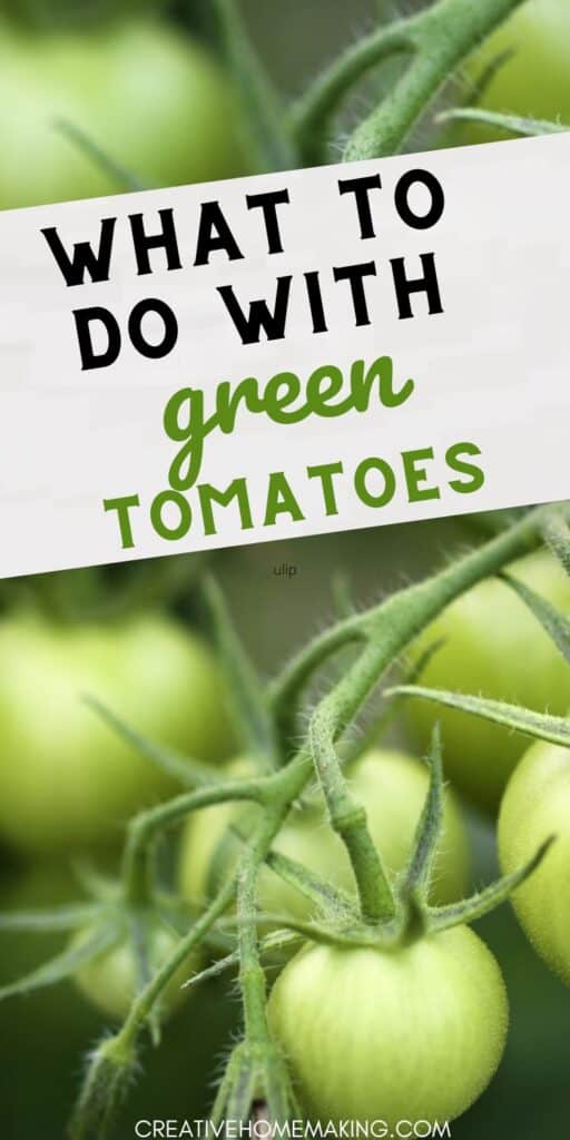 Unlock the potential of green tomatoes with these delicious and creative ideas! Whether you're making a hearty green tomato casserole or a refreshing salad, these recipes will elevate your cooking game. Explore fun ways to preserve them too, like canning or making relishes. Dive into the world of green tomatoes and enjoy their tangy goodness!