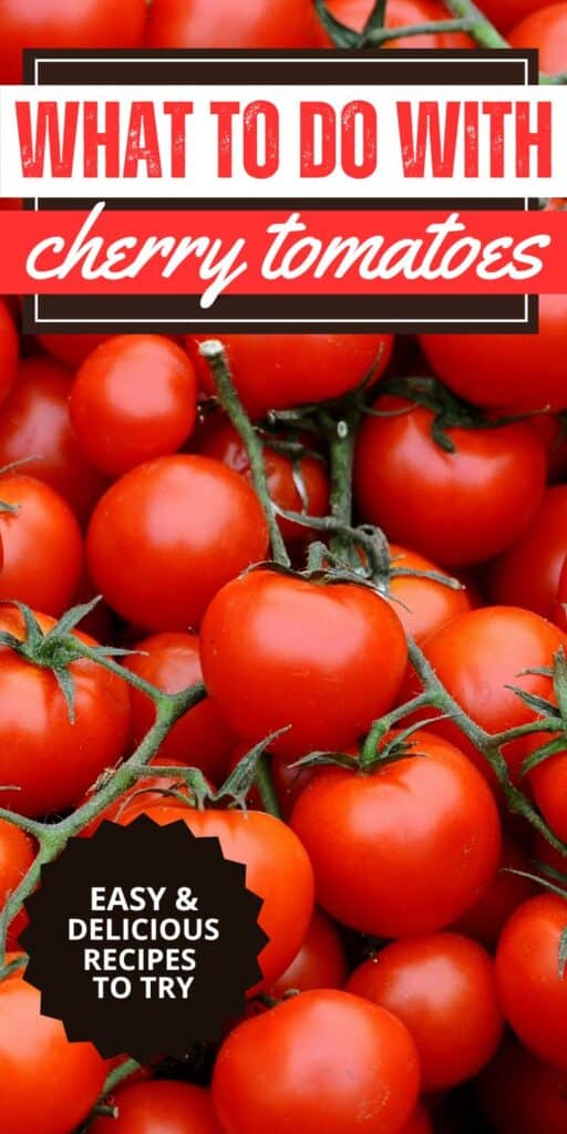 Cherry tomatoes are a versatile ingredient that can elevate any dish! Explore delicious recipes and tips on how to use these juicy bites in appetizers, salads, and more. Get inspired and make the most of your cherry tomato harvest today!