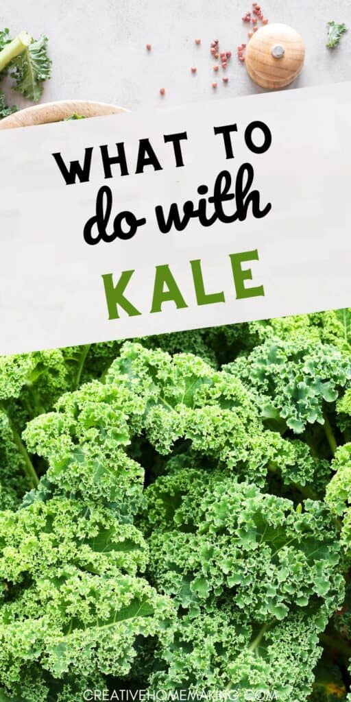 Looking for ways to enjoy kale? Check out our favorite recipes and creative ideas! From hearty soups and flavorful pestos to crispy kale chips, there’s no shortage of delicious options. Perfect for adding nutrition and flavor to your dishes! Dive into the world of kale and get inspired!
