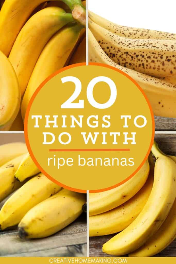 Ripe bananas are a versatile ingredient perfect for a variety of dishes! Learn how to make everything from creamy banana pudding and decadent pancakes to homemade banana chips and natural face masks. Check out our collection of fun and easy ideas to reduce waste and enjoy the natural sweetness of bananas.
