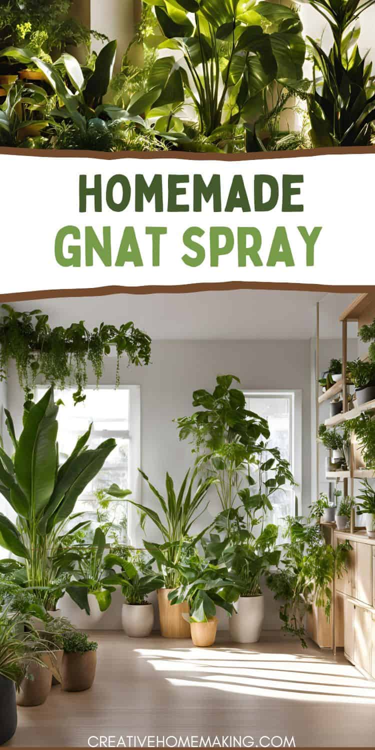 Natural Gnat Spray for Indoor Plants: Easy DIY Recipe!