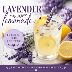 This refreshing lavender lemonade combines bright lemon flavor with a hint of floral lavender for a beautiful summer drink. Perfect for parties, garden gatherings, and relaxing afternoons. A delicious recipe for simple homemade living and from scratch living.